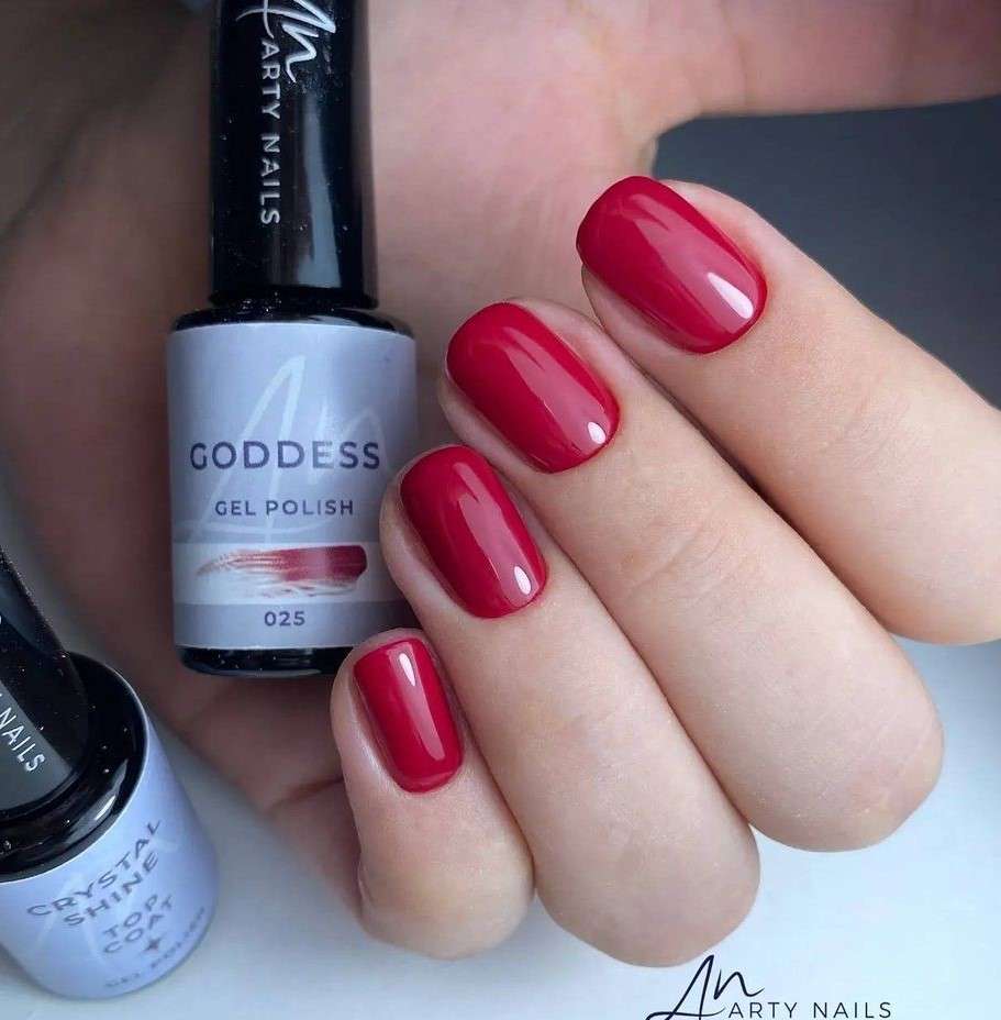 ARTY NAILS GEL POLISH 025. GODDESS 5 ml - Image 2