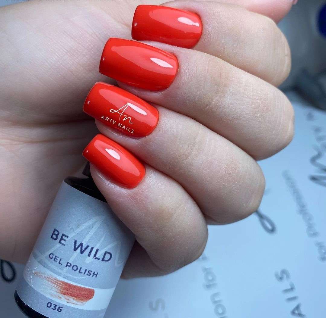 ARTY NAILS GEL POLISH 036. BE WILD 5 ml - Image 3